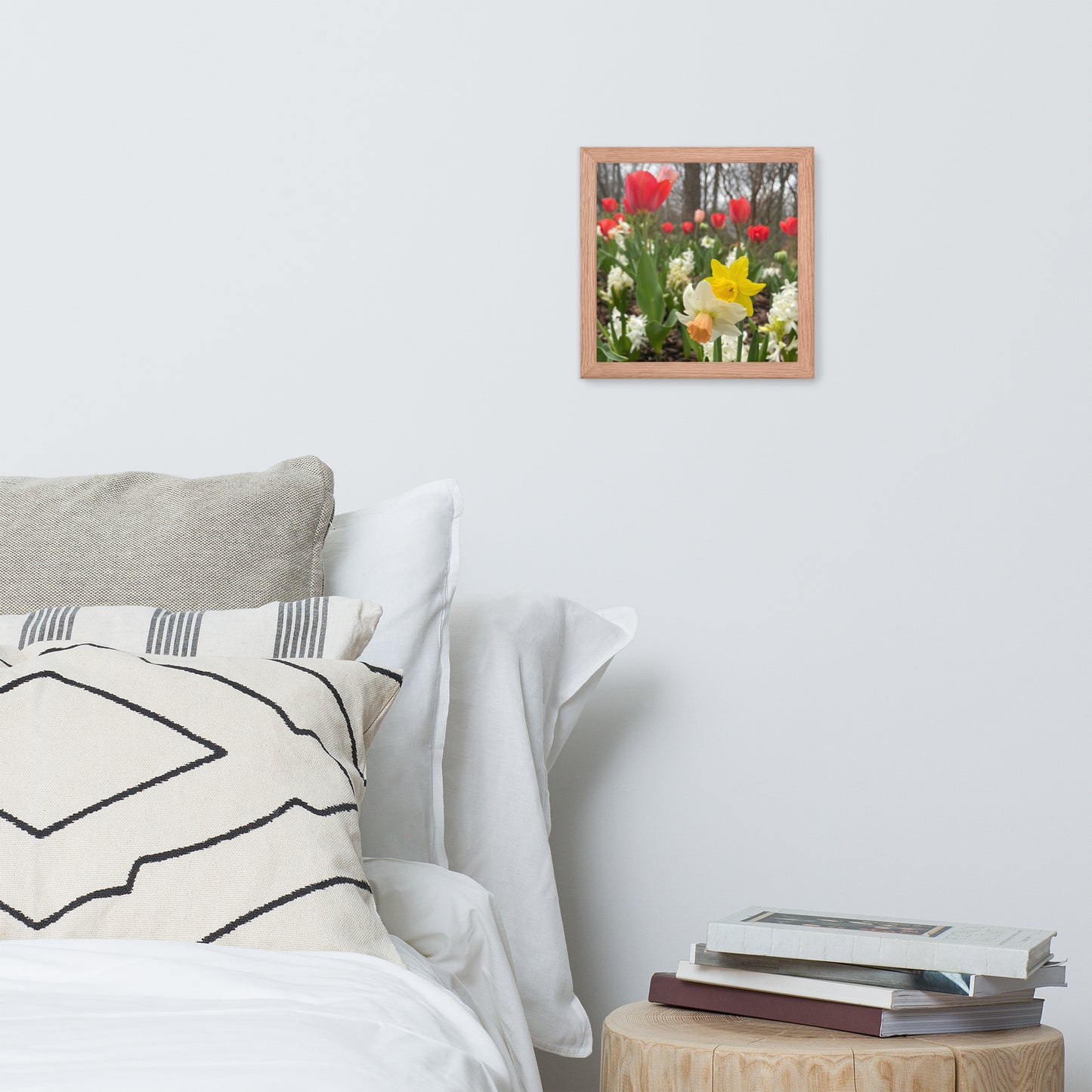 Flowers, Tulip