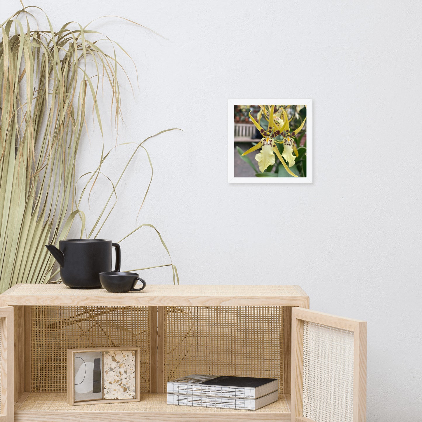 Orchid, Banana