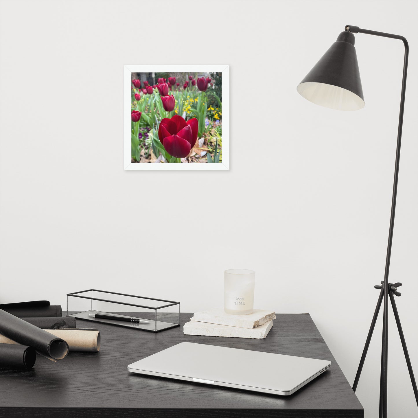 Red Tulip
